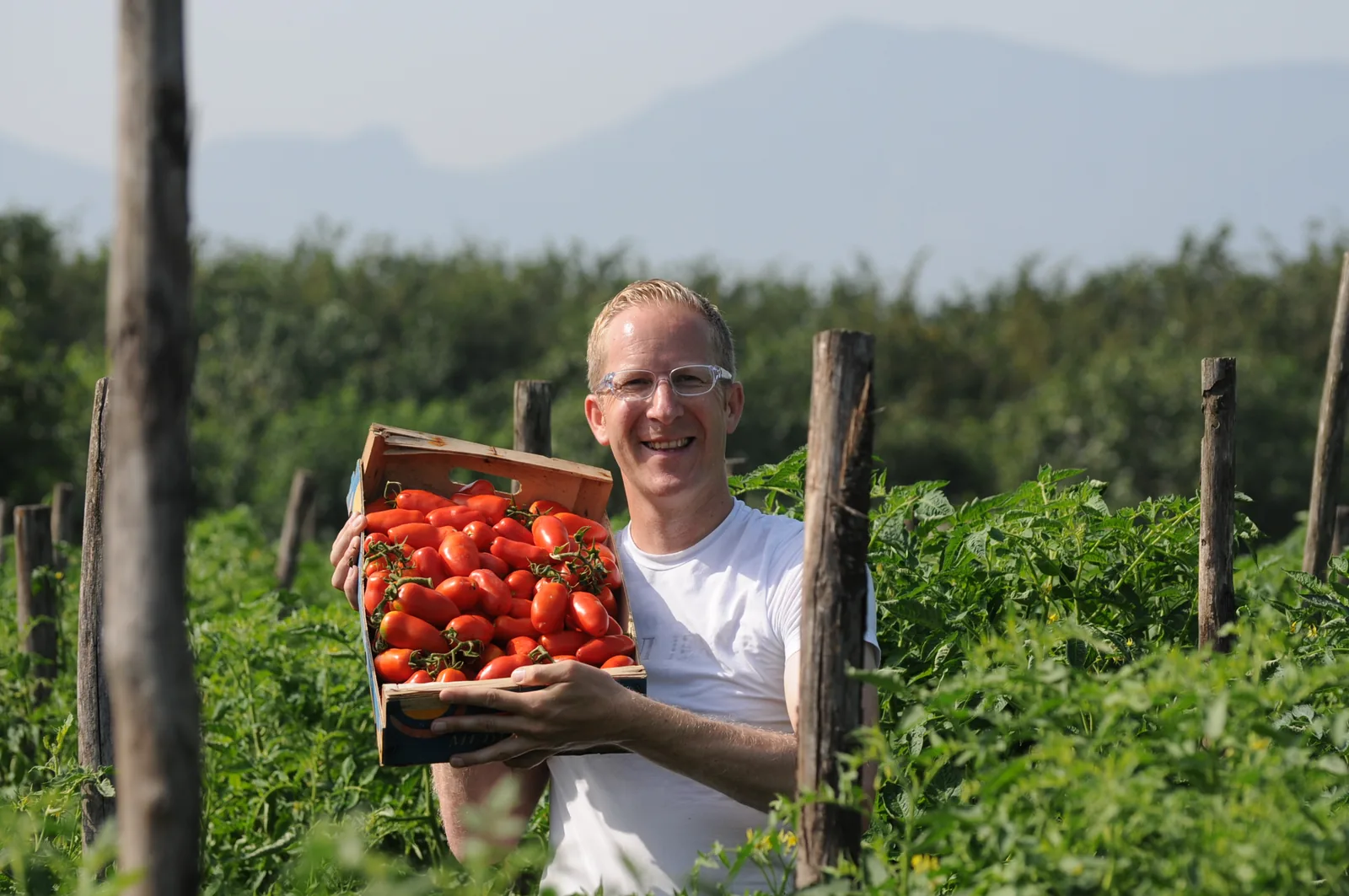 Jens Depenau mit einer Kiste frisch geernteter Tomaten mitten im Feld